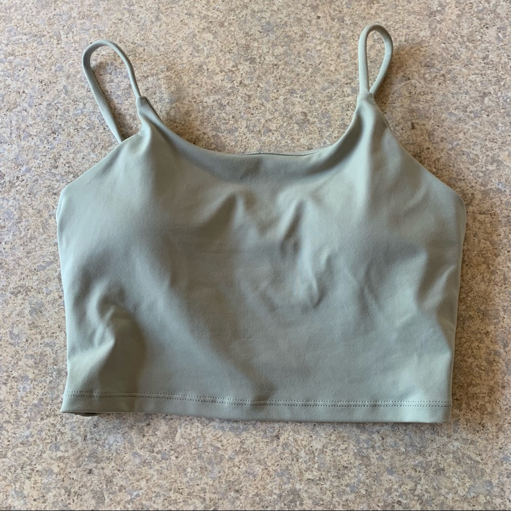 Paragon Crop Top Bra